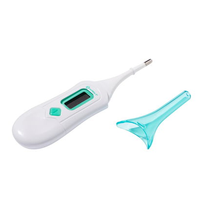 3-in-1 Nursery Thermometer