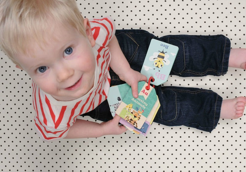 Flash Cards - Animal ABC