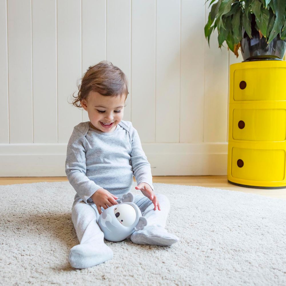 رولي بولي كوالا