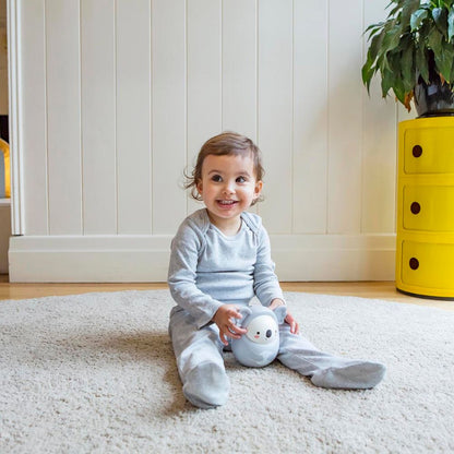 رولي بولي كوالا