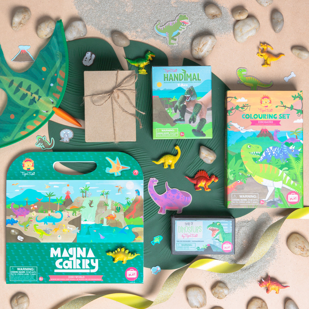 Magna Carry & Magna Fun - Dress Ups Playset Collection for Creative Kids