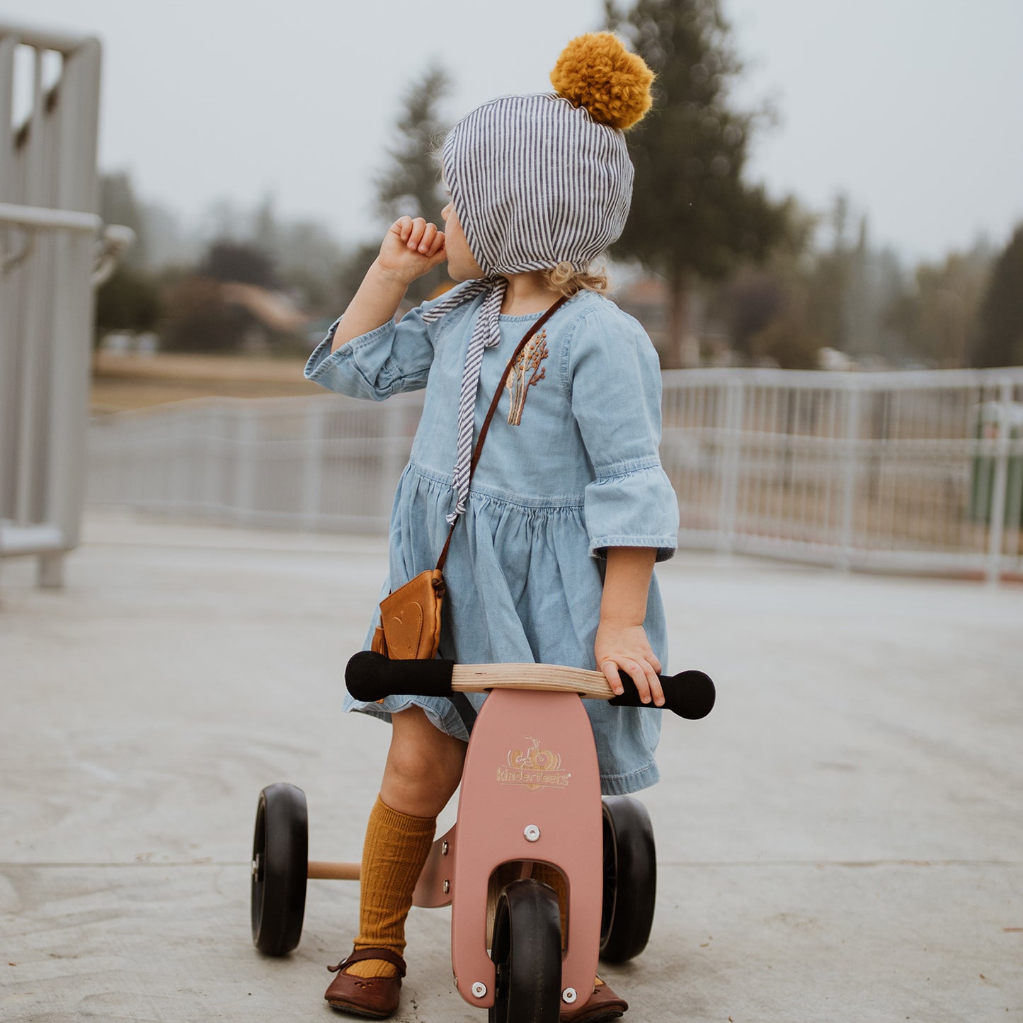 2-in-1 Tiny Tot Tricycle & Balance Bike - Convertible Toddler Ride-On for Early Riders