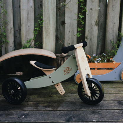 2-in-1 Tiny Tot Tricycle & Balance Bike - Convertible Toddler Ride-On for Early Riders