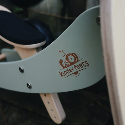 2-in-1 Tiny Tot Tricycle & Balance Bike - Convertible Toddler Ride-On for Early Riders