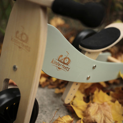 2-in-1 Tiny Tot Tricycle & Balance Bike - Convertible Toddler Ride-On for Early Riders