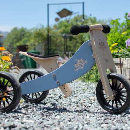 2-in-1 Tiny Tot Tricycle & Balance Bike - Convertible Toddler Ride-On for Early Riders