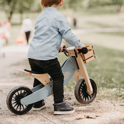 2-in-1 Tiny Tot Tricycle & Balance Bike - Convertible Toddler Ride-On for Early Riders