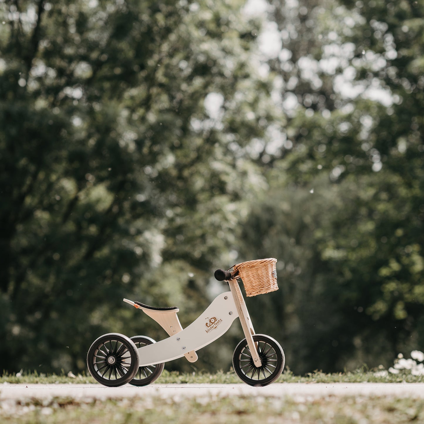 2-in-1 Tiny Tot Tricycle & Balance Bike - Convertible Toddler Ride-On for Early Riders