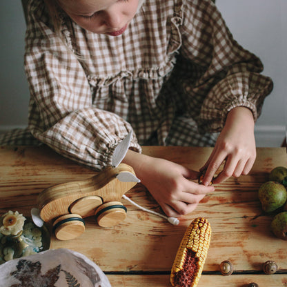 Push & Pull Bamboo Wooden Baby Toy - Classic Pull-Along Nursery Toy for Toddlers