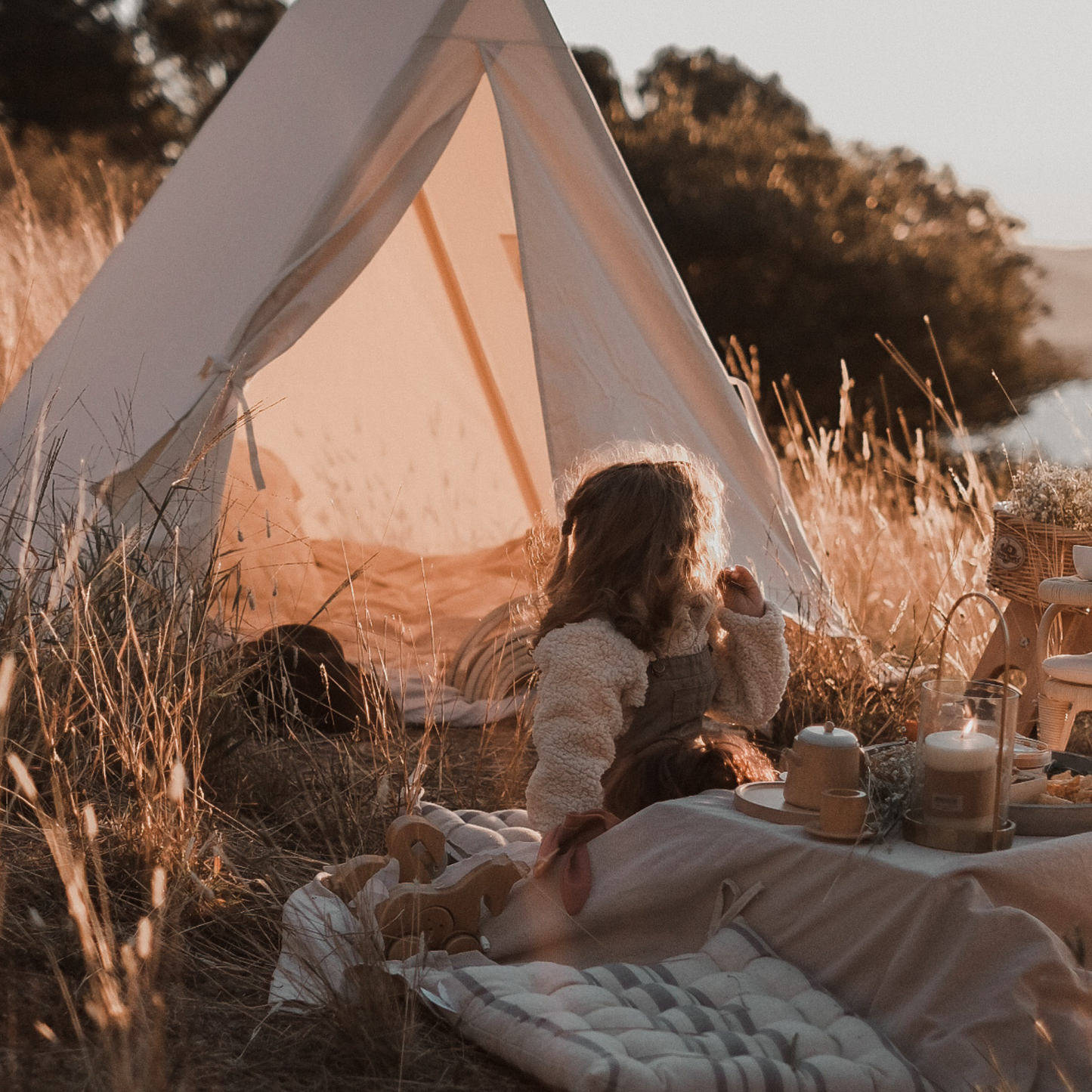 خيمة - قطن عضوي