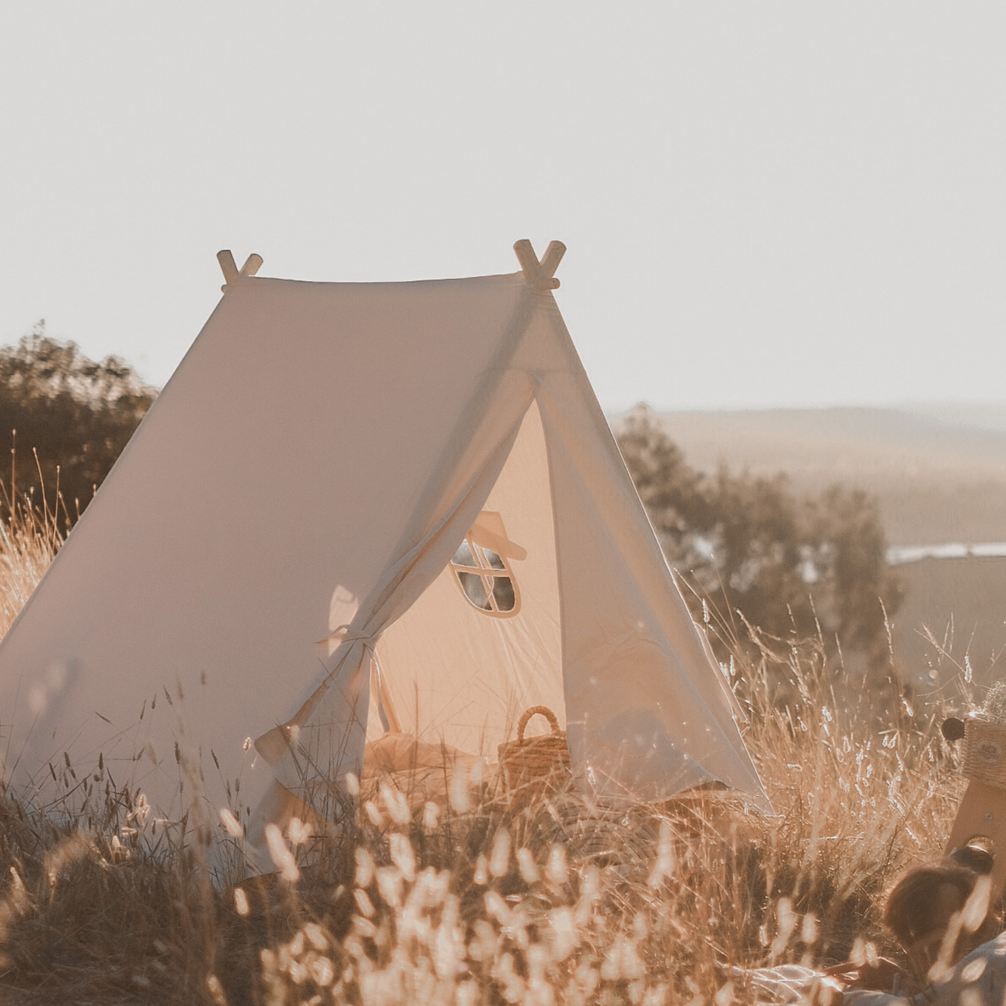 خيمة - قطن عضوي