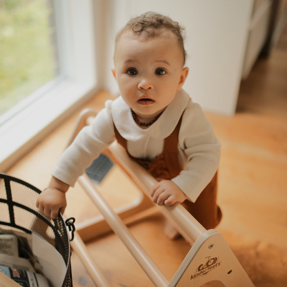 Pikler Climber Triangle Montessori Climbing Frame for Toddlers and Kids