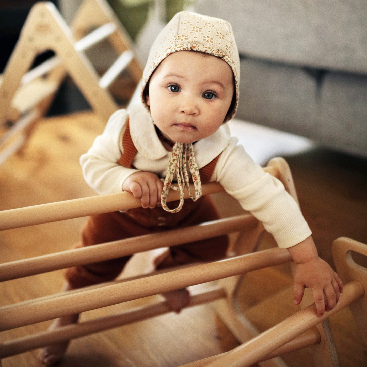 Pikler Climber Triangle Montessori Climbing Frame for Toddlers and Kids