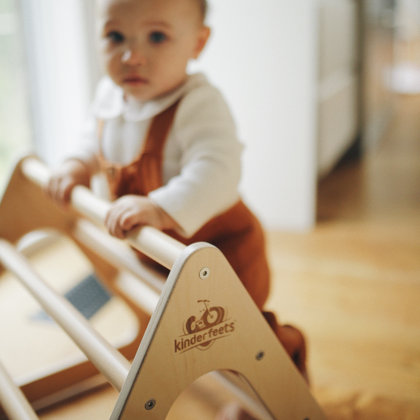 Pikler Climber Triangle Montessori Climbing Frame for Toddlers and Kids