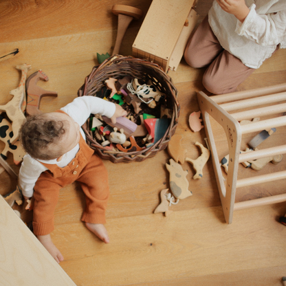 Pikler Climber Triangle Montessori Climbing Frame for Toddlers and Kids