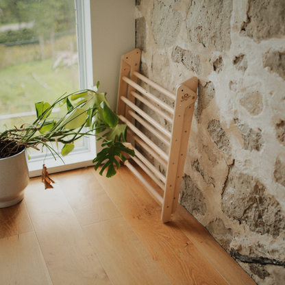 Pikler Climber Triangle Montessori Climbing Frame for Toddlers and Kids