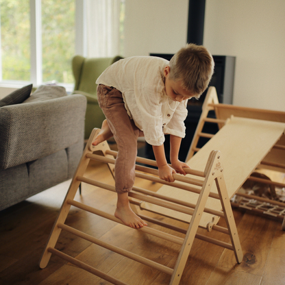Pikler Climber Triangle Montessori Climbing Frame for Toddlers and Kids