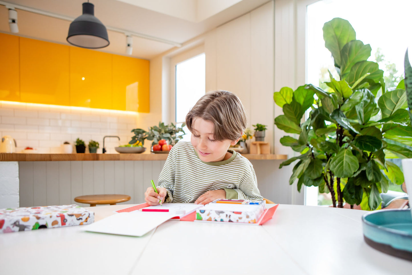 How to Draw & How to Paint - Comprehensive Guides for Drawing and Watercolour