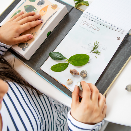 مجموعة أنشطة خارجية - العودة إلى الطبيعة 