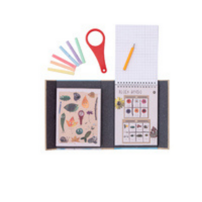 مجموعة أنشطة خارجية - العودة إلى الطبيعة 