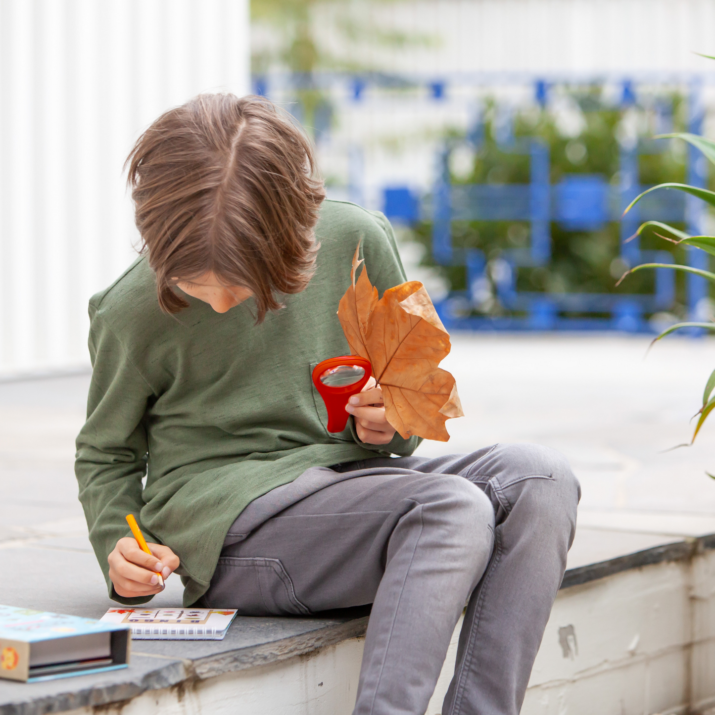 مجموعة أنشطة خارجية - العودة إلى الطبيعة 