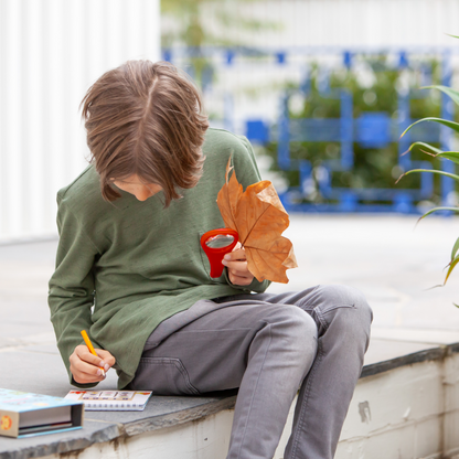 مجموعة أنشطة خارجية - العودة إلى الطبيعة 