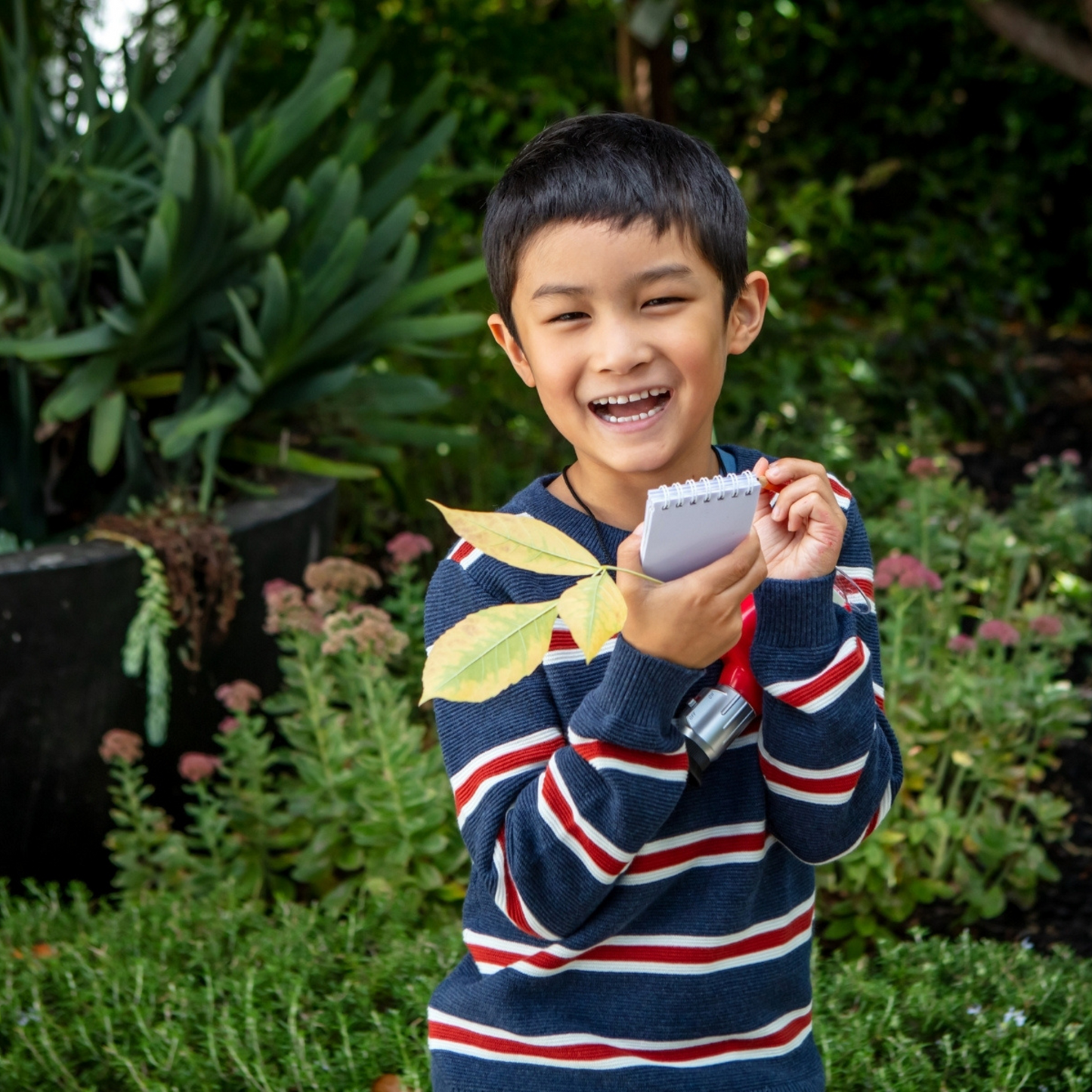 مجموعة مجهر المستكشف