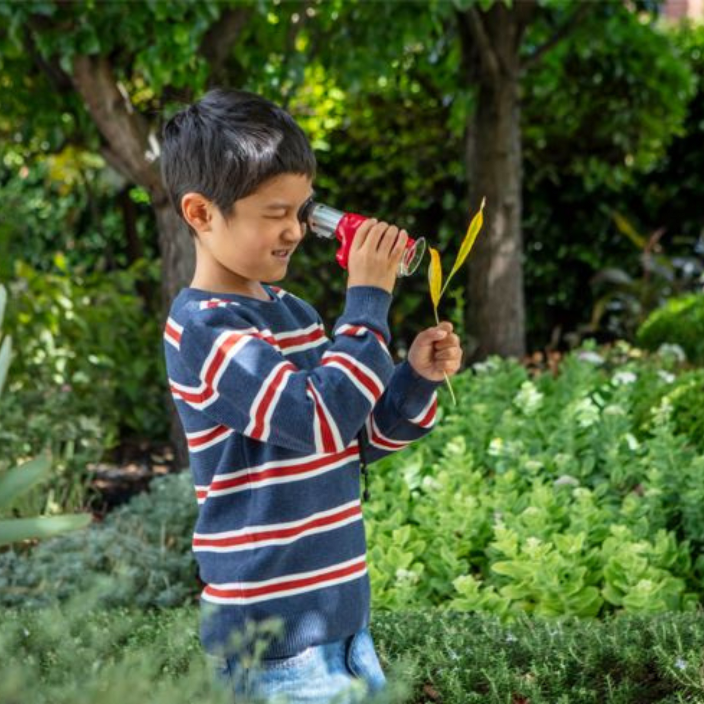 مجموعة مجهر المستكشف