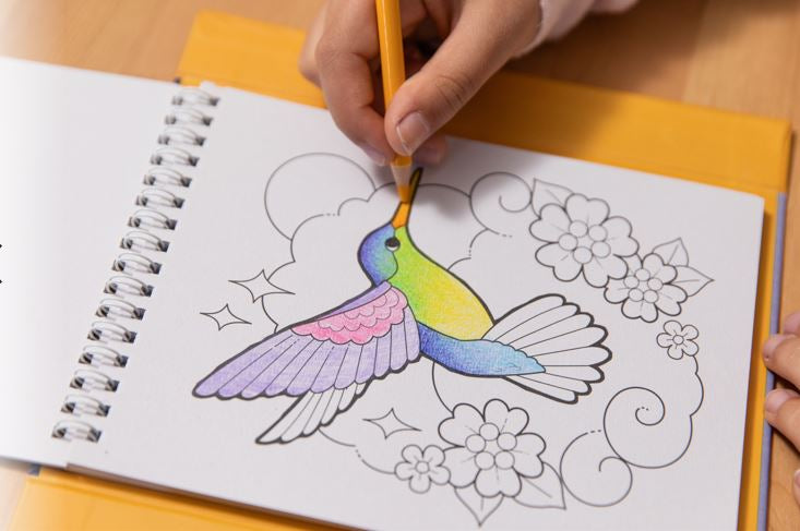 Pencil Art - Blend and Shade Techniques for Realistic Drawing and Shading Practice