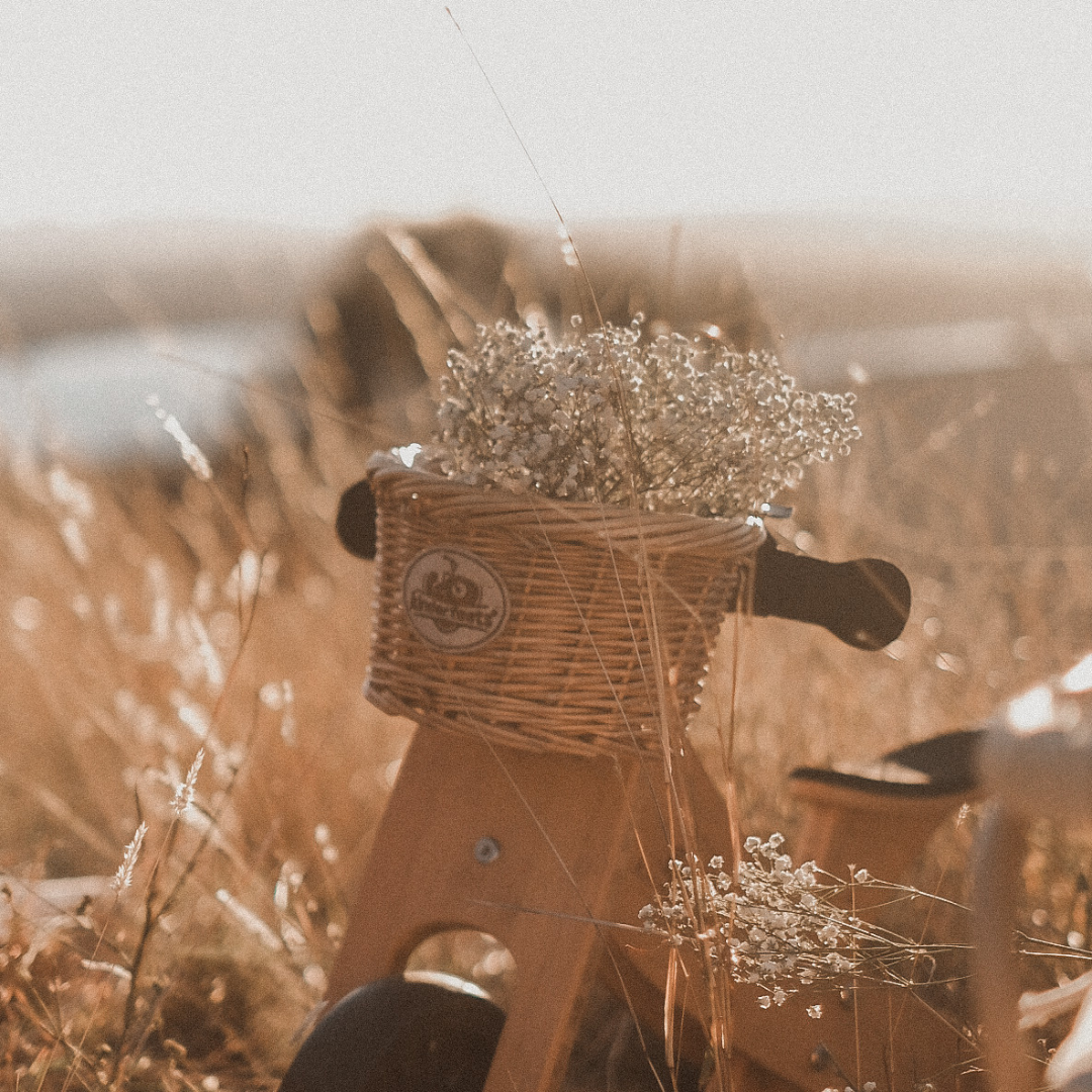 سلة دراجة من الخيزران