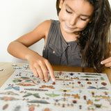 500pcs Puzzle - Insects