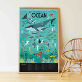 Sticker Poster Discovery - Oceans