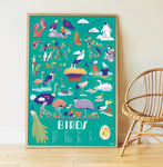 Sticker Poster Discovery - Birds