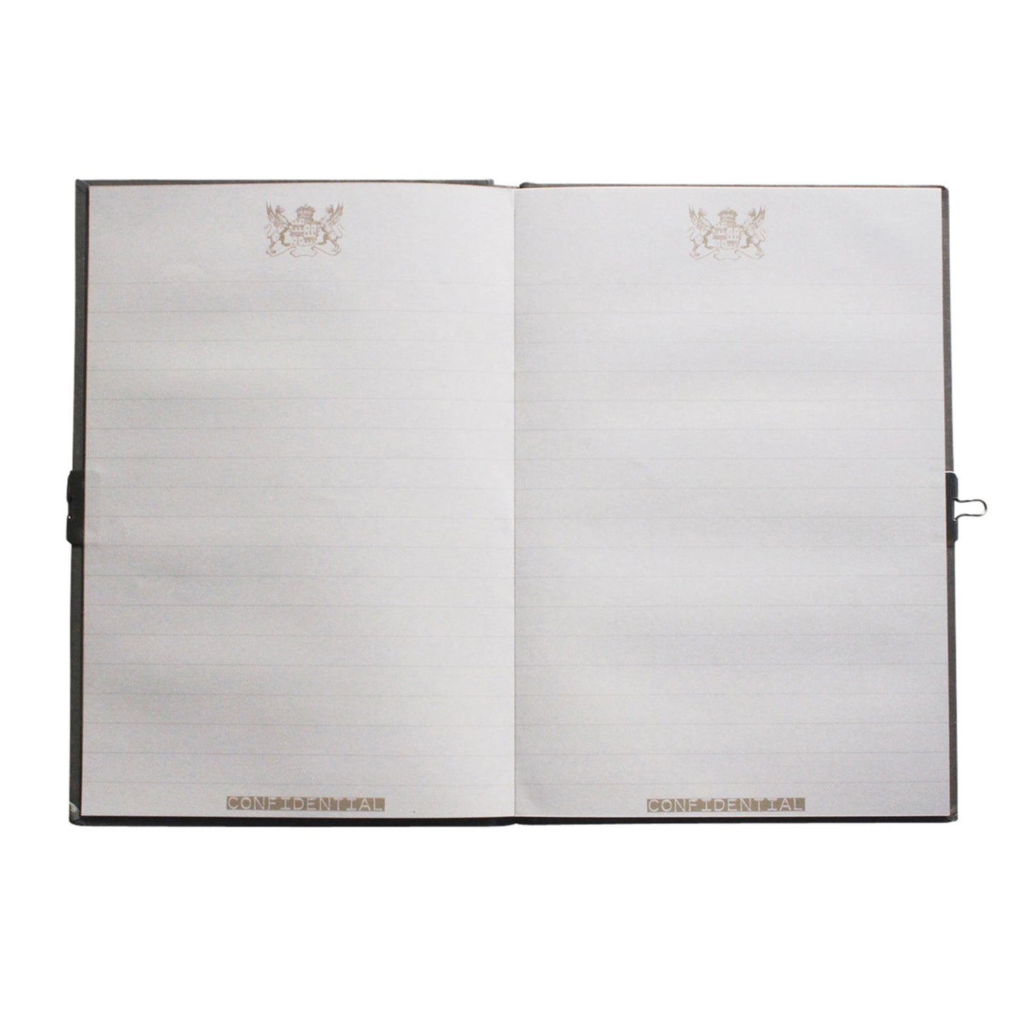 Lockable Diary - Top Secret - Sweet Pea Kids