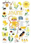 Mini Sticker Poster - Learning Colours - (Yellow)