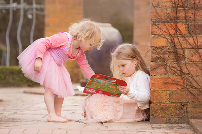 Magna Carry - Forest Fairies - Sweet Pea Kids