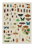 Jigsaw Puzzle - Insects (500 Pieces)