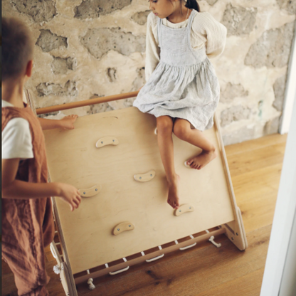 Pikler Climber Triangle Montessori Climbing Frame for Toddlers and Kids