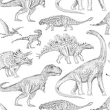Dino White Wallpaper